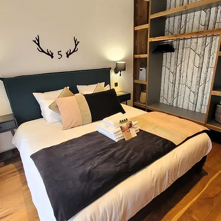 Chalet Spacieux 5* Avec Jacuzzi Et Sauna, Animaux Acceptes - Fr-1-598-41